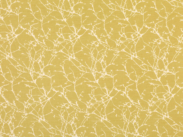 Romo Acacia (££££)